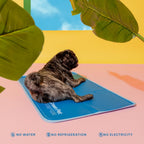 The Green Pet Shop Cool Pet Pad - Large, Blue - Self-Cooling, Pressure Activated Mat for Dogs & Cats from 46-80 lbs - Non-Toxic Gel, No Water Needed