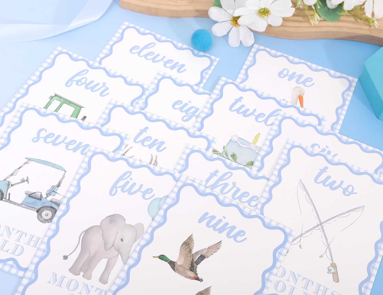 WAUAO Gingham Milestone Monthly Cards,My First Milestone Cards Photo Props | Baby Milestone Monthly Memories,Boys/Girls Photo Props