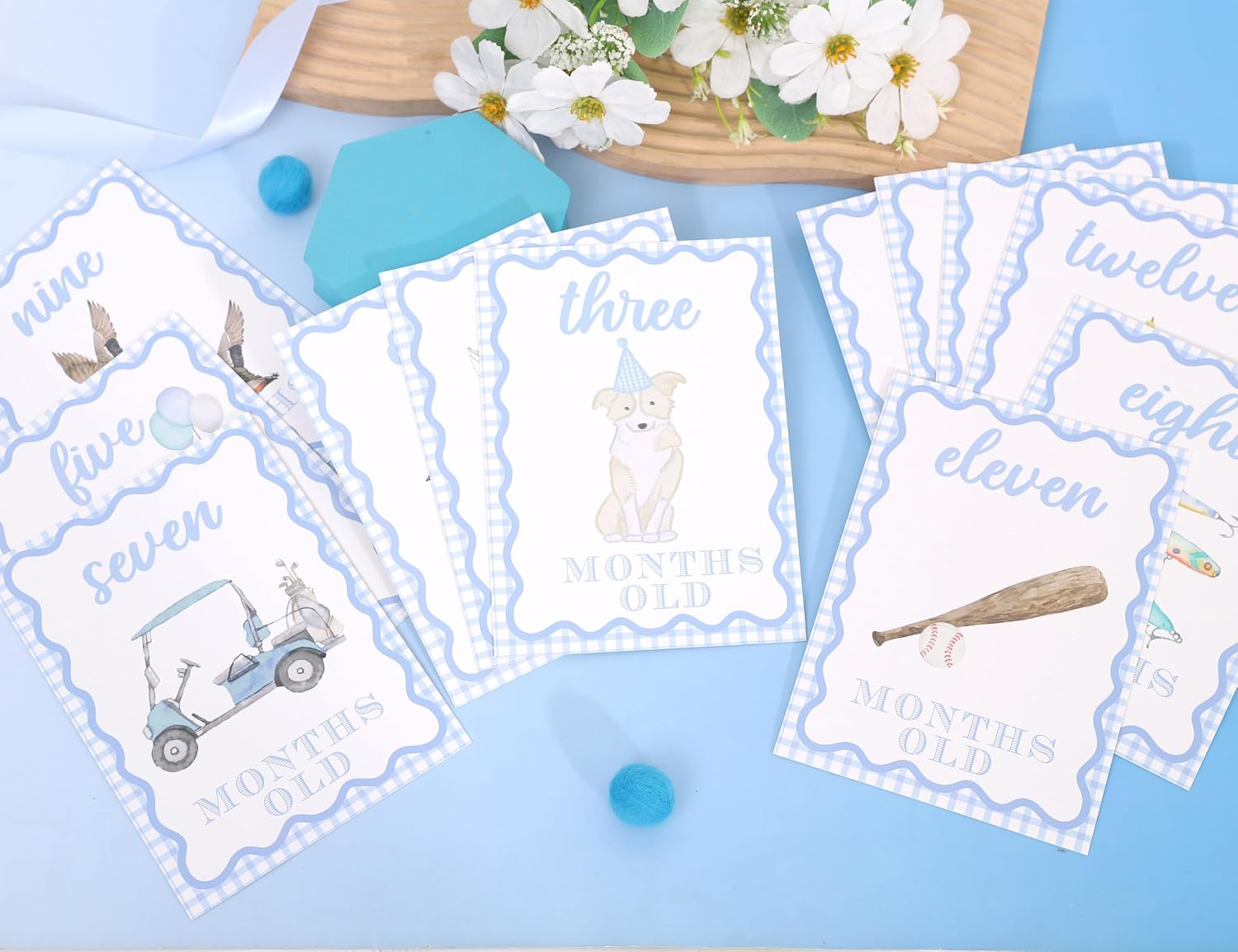 WAUAO Gingham Milestone Monthly Cards,My First Milestone Cards Photo Props | Baby Milestone Monthly Memories,Boys/Girls Photo Props