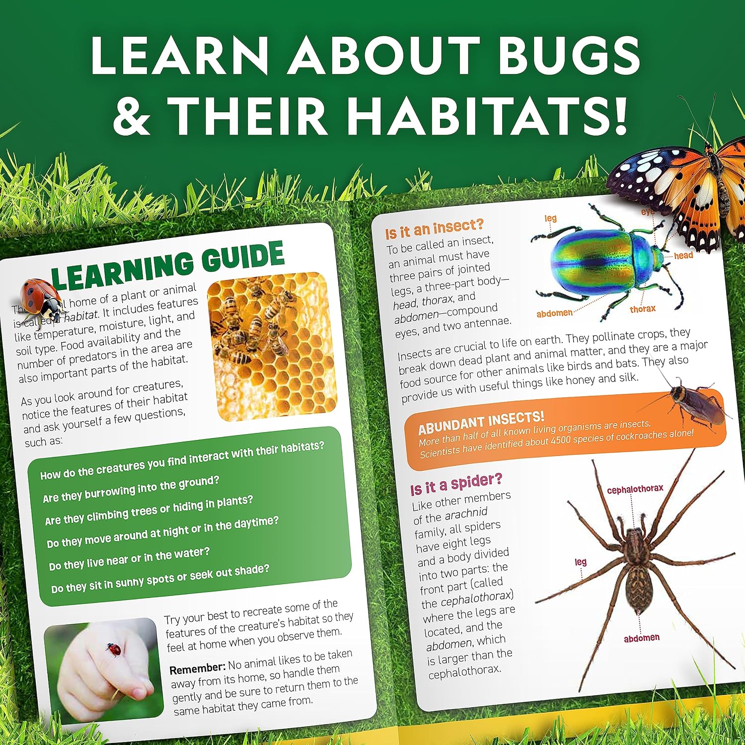 National Geographic Bug Catcher Kit and Outdoor Insect Habitat for Kids | 360-Degree Viewer, 2 Magnifying Lenses, Catching Net, Tweezers, Outdoor Exploration Toy, Insect Science, Birthday Gift