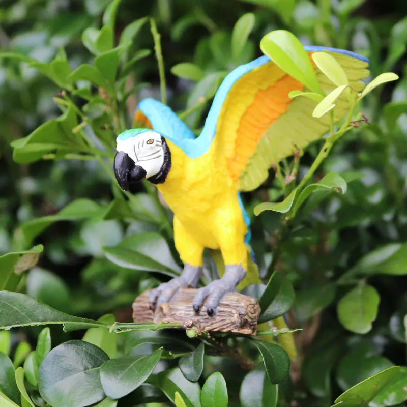 Oenux Bird Forest Animal Parrot Macaw Cockatiel Cockatoo Agapornis Puffin Model Solid PVC Garden Decoration Education Kids Toy