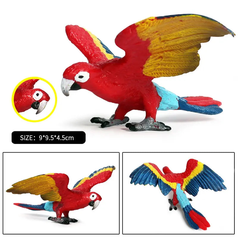 Oenux Bird Forest Animal Parrot Macaw Cockatiel Cockatoo Agapornis Puffin Model Solid PVC Garden Decoration Education Kids Toy