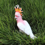 Oenux Bird Forest Animal Parrot Macaw Cockatiel Cockatoo Agapornis Puffin Model Solid PVC Garden Decoration Education Kids Toy