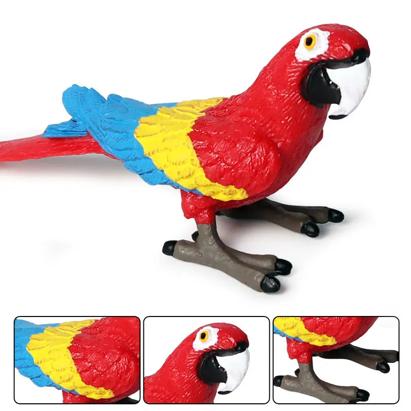 Oenux Bird Forest Animal Parrot Macaw Cockatiel Cockatoo Agapornis Puffin Model Solid PVC Garden Decoration Education Kids Toy