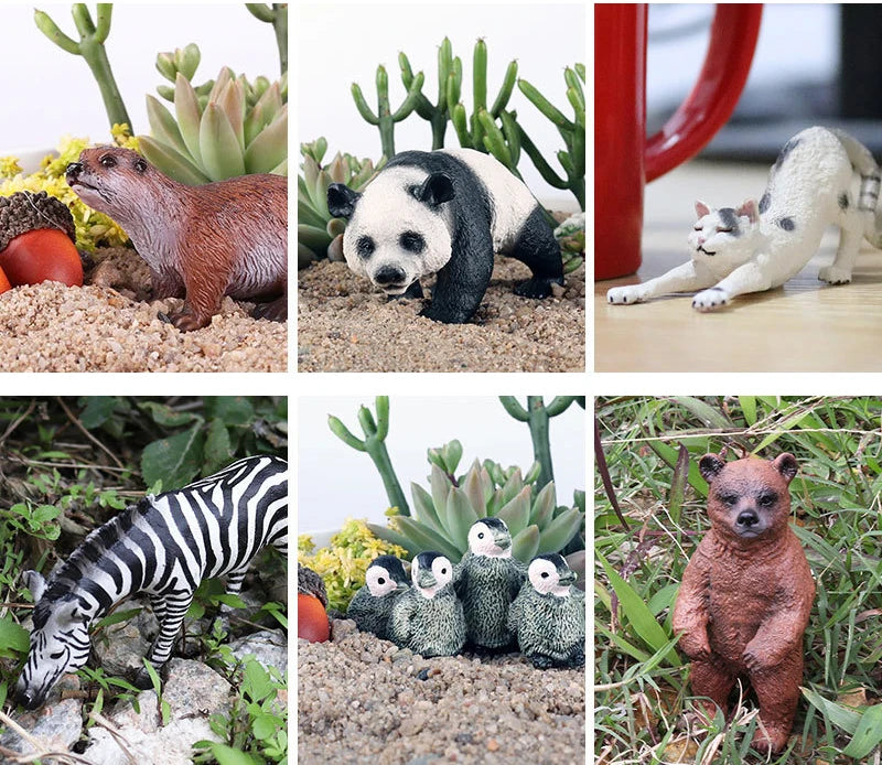 Children Simulation Biology Model Toy Animal Plant Life Growth Cycle Montessori Children Toys Set Teaching Aids Educational Toys