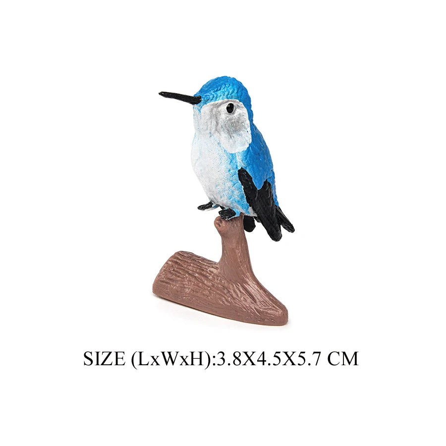 Simulation Bird Animal Kingfisher Robin Magpie Pigeon Hummingbird Model Action Figure Garden Decoration Miniature Figurines Toys