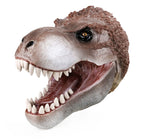 Scientific and Educational Cognitive Glove Model, Simulated Dinosaur, Children's Interactive Entertainment Hand Puppet Toy