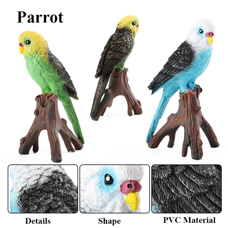 Oenux Bird Forest Animal Parrot Macaw Cockatiel Cockatoo Agapornis Puffin Model Solid PVC Garden Decoration Education Kids Toy