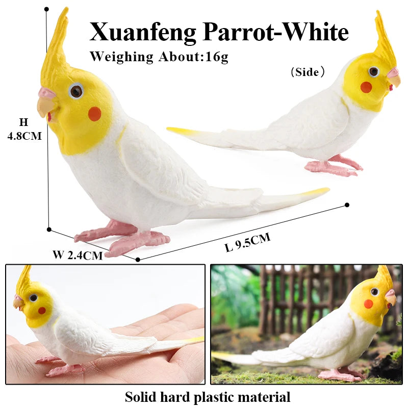 Oenux Bird Forest Animal Parrot Macaw Cockatiel Cockatoo Agapornis Puffin Model Solid PVC Garden Decoration Education Kids Toy
