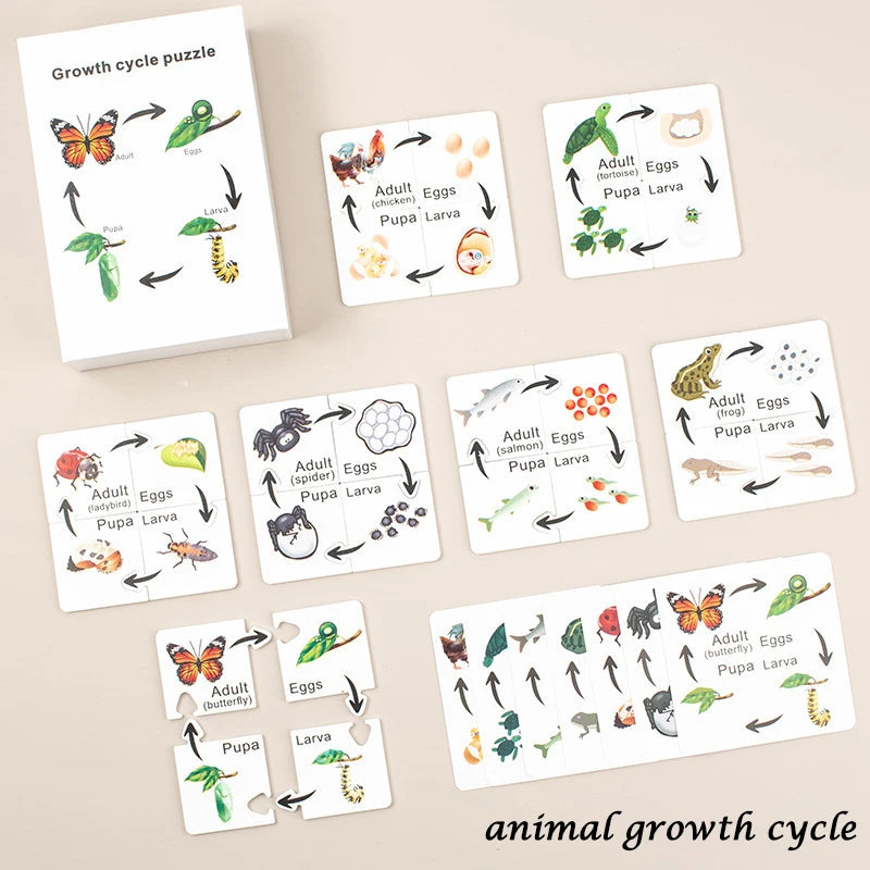 Children Simulation Biology Model Toy Animal Plant Life Growth Cycle Montessori Children Toys Set Teaching Aids Educational Toys