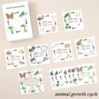Children Simulation Biology Model Toy Animal Plant Life Growth Cycle Montessori Children Toys Set Teaching Aids Educational Toys