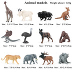 Oenux Montessori Miniature Lion Shark Horse Dinosaur Animals Model Set Action Figures Figurine Zoo Cute Education Kids Toy Gift