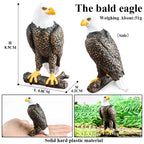 Oenux Wild Bird Animals Forest Night Eagle Condor Figurines PVC Action Figure Garden Decoration Education Miniature Toy Kid Gift