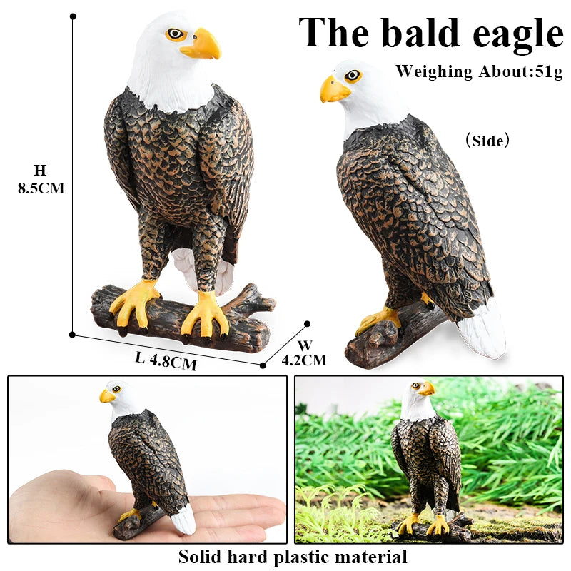Oenux Wild Bird Animals Forest Night Eagle Condor Figurines PVC Action Figure Garden Decoration Education Miniature Toy Kid Gift