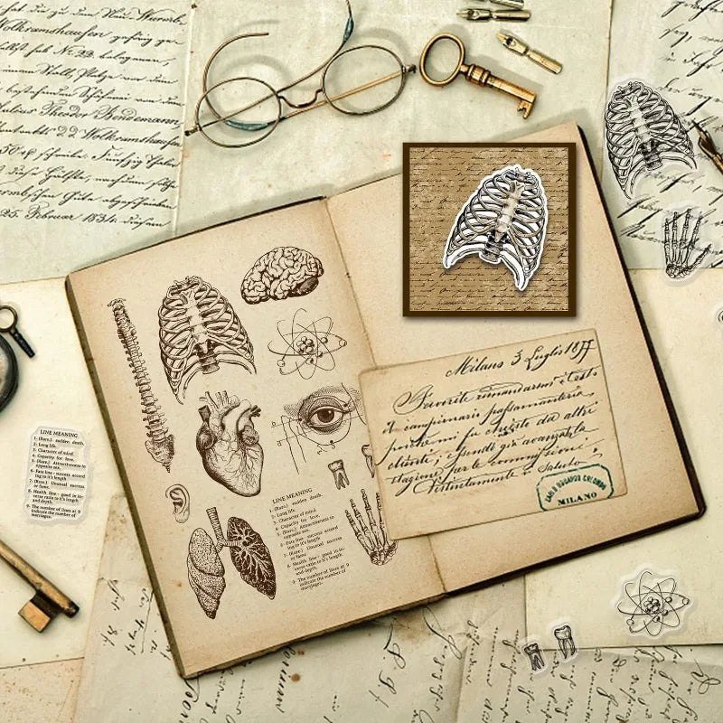 1 Sheet Human Body Silicone Clear Stamp Spine Brain Transparent Silicone Stamp Heart Lungs Rubber Stamp 4.3 x 6.3 Inch