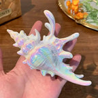 1pc seaside vacation style acrylic sea shell hair clip high-end feeling bun shark clip versatile temperament hair accessory