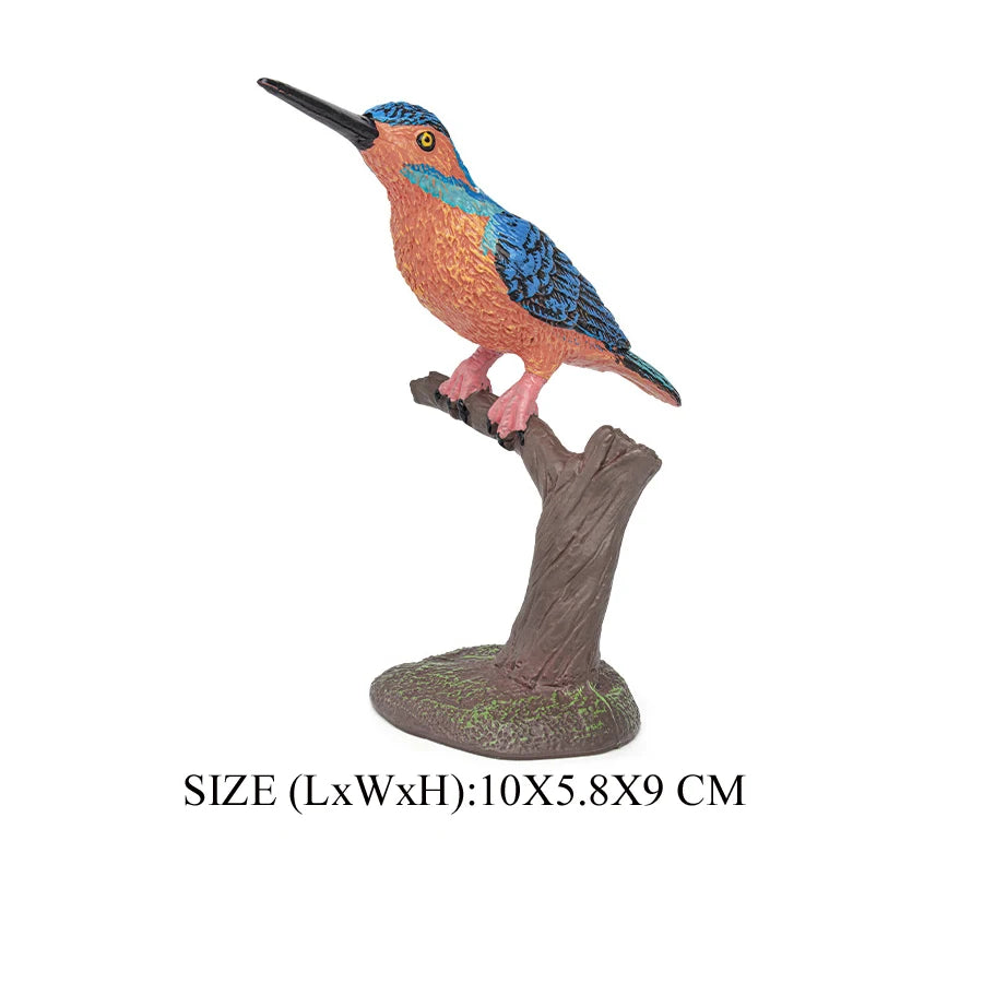 Simulation Bird Animal Kingfisher Robin Magpie Pigeon Hummingbird Model Action Figure Garden Decoration Miniature Figurines Toys