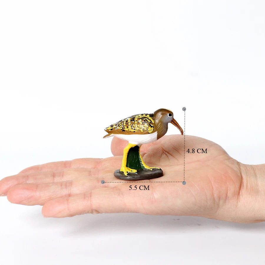 Simulation Bird Animal Kingfisher Robin Magpie Pigeon Hummingbird Model Action Figure Garden Decoration Miniature Figurines Toys