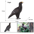 Oenux Wild Bird Animals Forest Night Eagle Condor Figurines PVC Action Figure Garden Decoration Education Miniature Toy Kid Gift