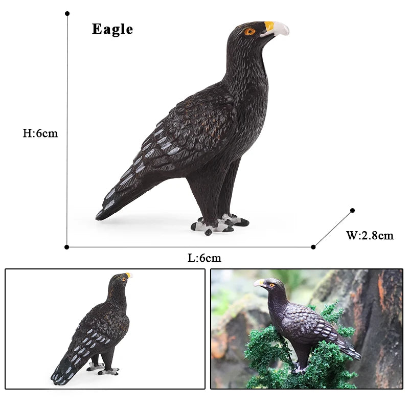 Oenux Wild Bird Animals Forest Night Eagle Condor Figurines PVC Action Figure Garden Decoration Education Miniature Toy Kid Gift