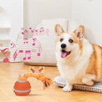 Interactive Dog Toy Ball with Rope Electronic Motion Activated Rolling Ball for Indoor Cat Dog Play Toys for Puppy Training Ball