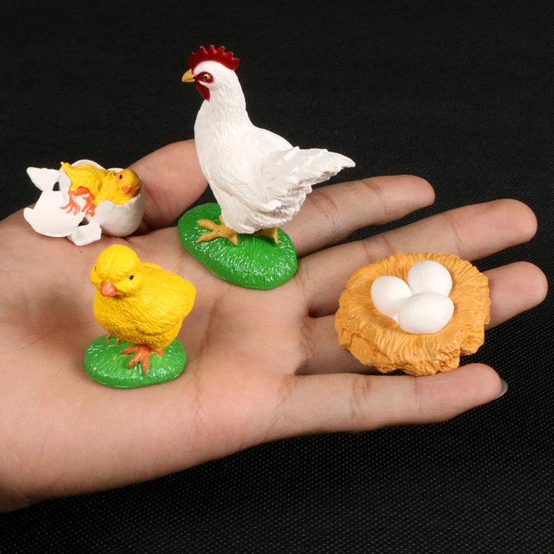Children Simulation Biology Model Toy Animal Plant Life Growth Cycle Montessori Children Toys Set Teaching Aids Educational Toys