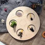 Children Simulation Biology Model Toy Animal Plant Life Growth Cycle Montessori Children Toys Set Teaching Aids Educational Toys