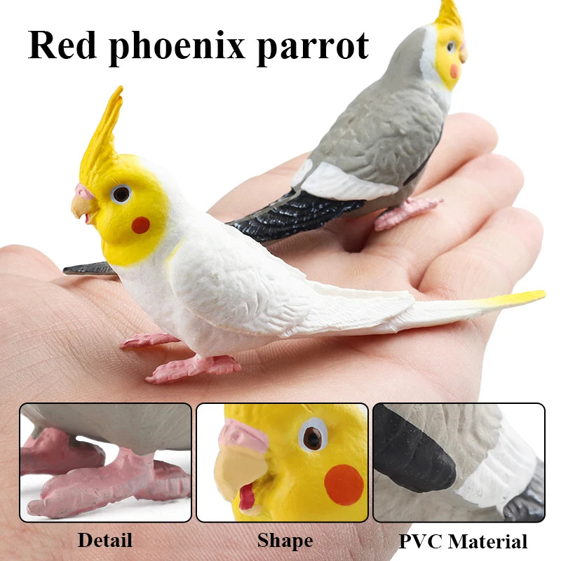 Oenux Bird Forest Animal Parrot Macaw Cockatiel Cockatoo Agapornis Puffin Model Solid PVC Garden Decoration Education Kids Toy