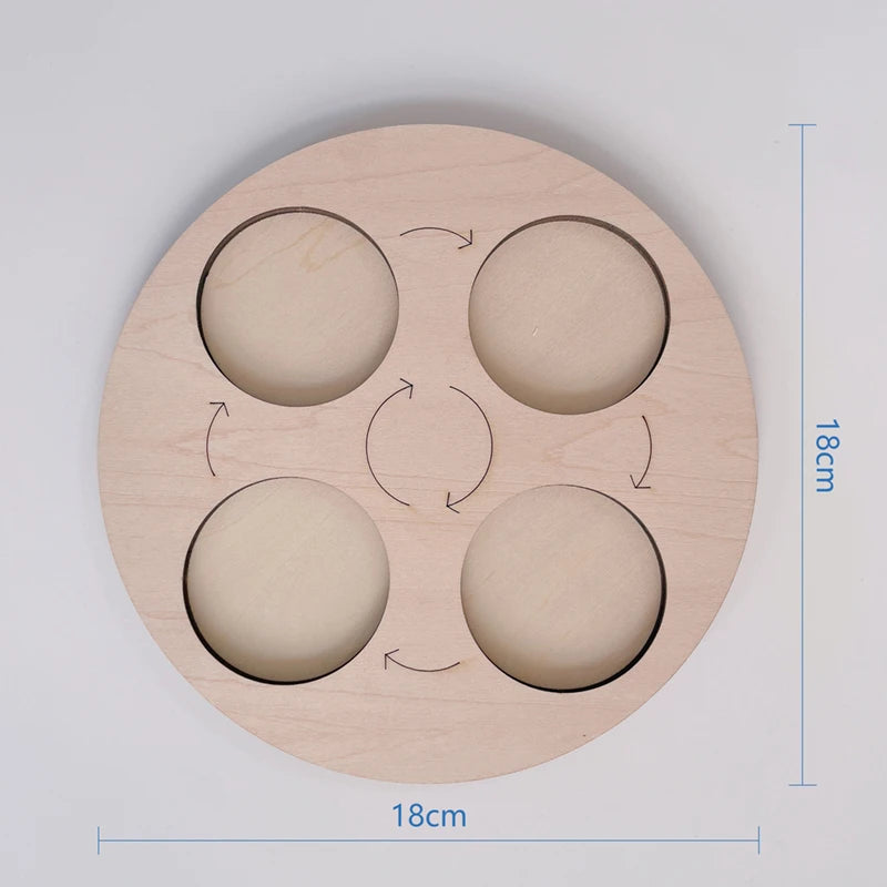 Children Simulation Biology Model Toy Animal Plant Life Growth Cycle Montessori Children Toys Set Teaching Aids Educational Toys