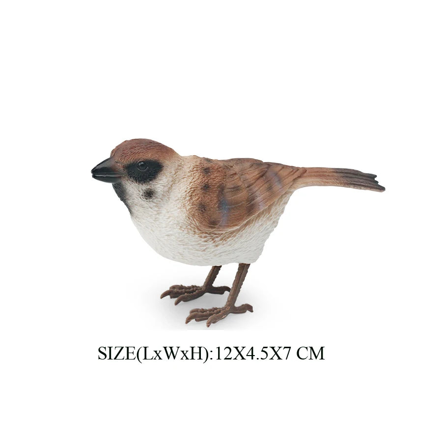 Simulation Bird Animal Kingfisher Robin Magpie Pigeon Hummingbird Model Action Figure Garden Decoration Miniature Figurines Toys