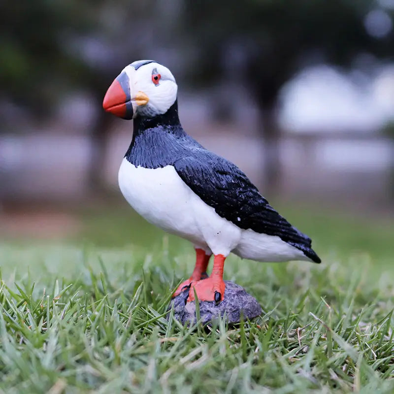 Oenux Bird Forest Animal Parrot Macaw Cockatiel Cockatoo Agapornis Puffin Model Solid PVC Garden Decoration Education Kids Toy