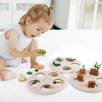 Children Simulation Biology Model Toy Animal Plant Life Growth Cycle Montessori Children Toys Set Teaching Aids Educational Toys