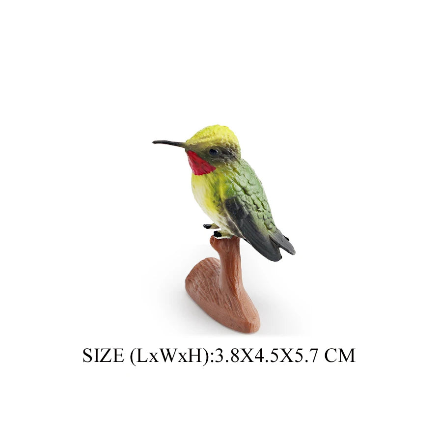 Simulation Bird Animal Kingfisher Robin Magpie Pigeon Hummingbird Model Action Figure Garden Decoration Miniature Figurines Toys