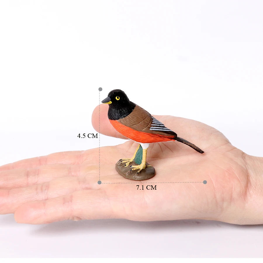 Simulation Bird Animal Kingfisher Robin Magpie Pigeon Hummingbird Model Action Figure Garden Decoration Miniature Figurines Toys