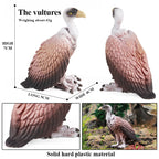 Oenux Wild Bird Animals Forest Night Eagle Condor Figurines PVC Action Figure Garden Decoration Education Miniature Toy Kid Gift