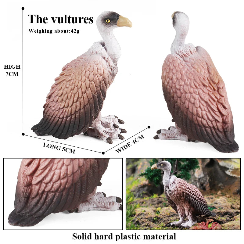 Oenux Wild Bird Animals Forest Night Eagle Condor Figurines PVC Action Figure Garden Decoration Education Miniature Toy Kid Gift