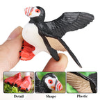 Oenux Bird Forest Animal Parrot Macaw Cockatiel Cockatoo Agapornis Puffin Model Solid PVC Garden Decoration Education Kids Toy