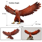 Oenux Wild Bird Animals Forest Night Eagle Condor Figurines PVC Action Figure Garden Decoration Education Miniature Toy Kid Gift