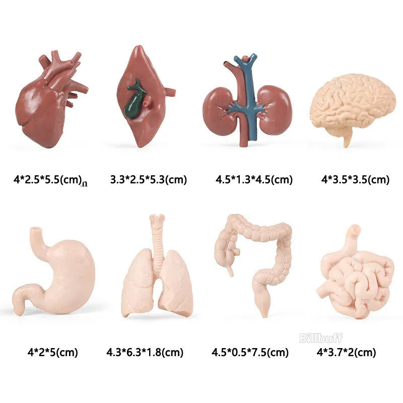 New 12pcs Farm Animal Figurines Poultry Sets Action Figures Horse Cow Dog Duck Sheep Cock Model Education Toys for Children Gift