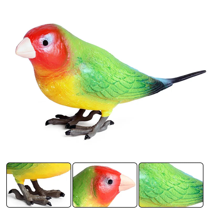 Oenux Bird Forest Animal Parrot Macaw Cockatiel Cockatoo Agapornis Puffin Model Solid PVC Garden Decoration Education Kids Toy