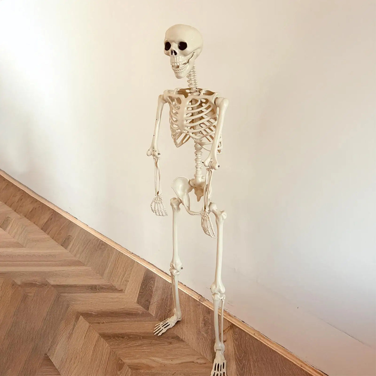 Halloween Skeleton Life Size Human Skeleton with Posable Joints Weather-Resistant Garden Decor Spooky Photo Props for Holiday