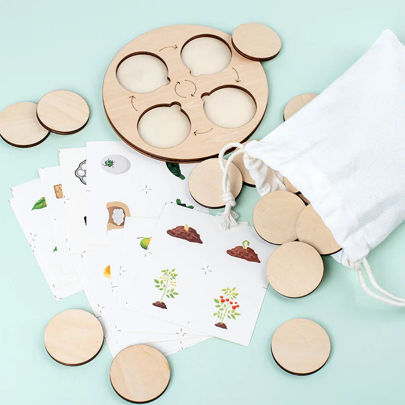 Children Simulation Biology Model Toy Animal Plant Life Growth Cycle Montessori Children Toys Set Teaching Aids Educational Toys