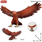 Oenux Wild Bird Animals Forest Night Eagle Condor Figurines PVC Action Figure Garden Decoration Education Miniature Toy Kid Gift