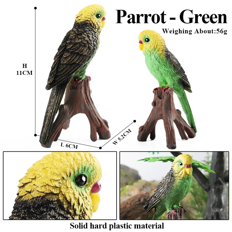 Oenux Bird Forest Animal Parrot Macaw Cockatiel Cockatoo Agapornis Puffin Model Solid PVC Garden Decoration Education Kids Toy