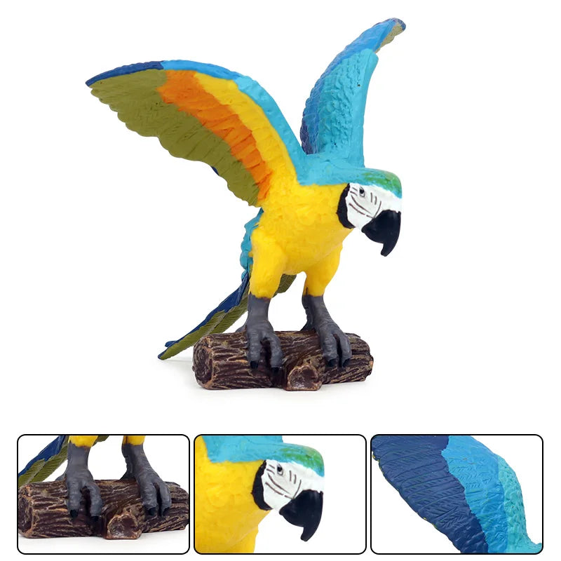 Oenux Bird Forest Animal Parrot Macaw Cockatiel Cockatoo Agapornis Puffin Model Solid PVC Garden Decoration Education Kids Toy