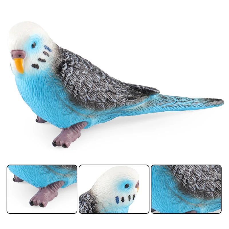 Oenux Bird Forest Animal Parrot Macaw Cockatiel Cockatoo Agapornis Puffin Model Solid PVC Garden Decoration Education Kids Toy