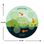 Children Simulation Biology Model Toy Animal Plant Life Growth Cycle Montessori Children Toys Set Teaching Aids Educational Toys
