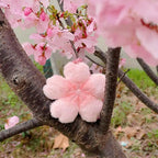 Cherry Blossom Plush Doll Pendant 2026 Pink Flower Keyring Kawaii Car Hanging Decoration for Girls Backpack Ornament