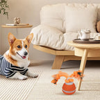 Interactive Dog Toy Ball with Rope Electronic Motion Activated Rolling Ball for Indoor Cat Dog Play Toys for Puppy Training Ball