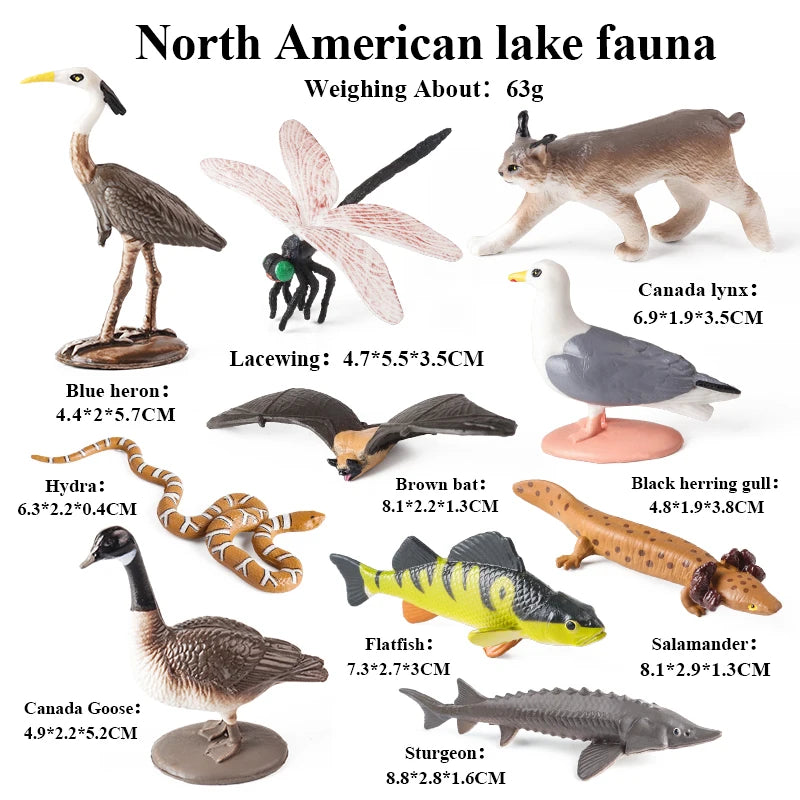 Oenux Montessori Miniature Lion Shark Horse Dinosaur Animals Model Set Action Figures Figurine Zoo Cute Education Kids Toy Gift